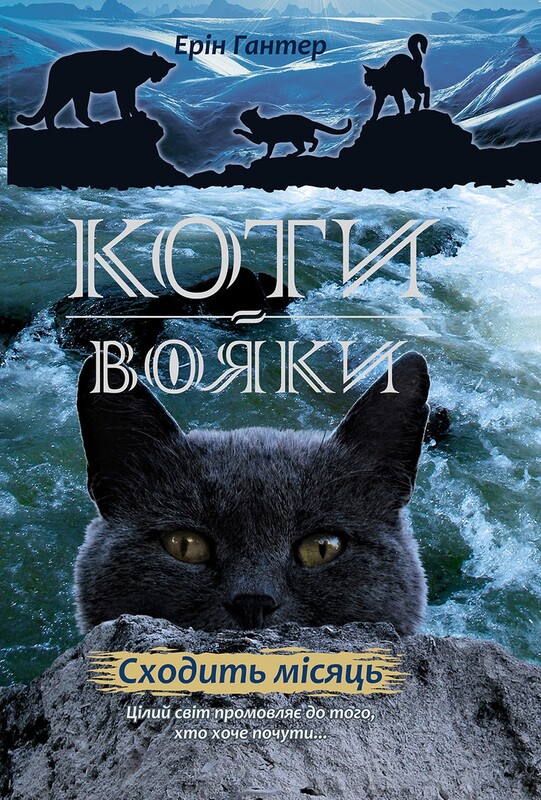 Коти-вояки. Цикл 2: Нове пророцтво. Подарунковий комплект із 6 книг / Ерін Гантер