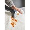 Фото - Моющий пылесос-пятновыводитель Rowenta Clean It Hot & Cold IN7021F0 | click.ua