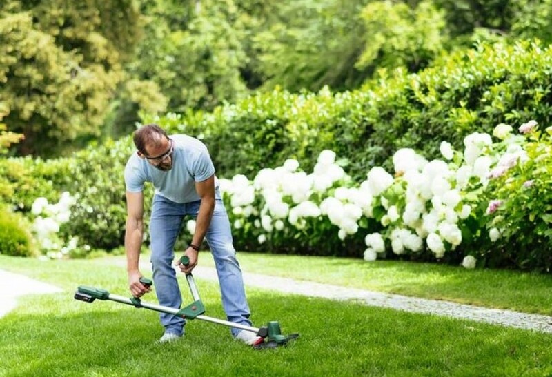 Триммер Bosch UniversalGrassCut 18V-260 (0.600.8C1.D03)