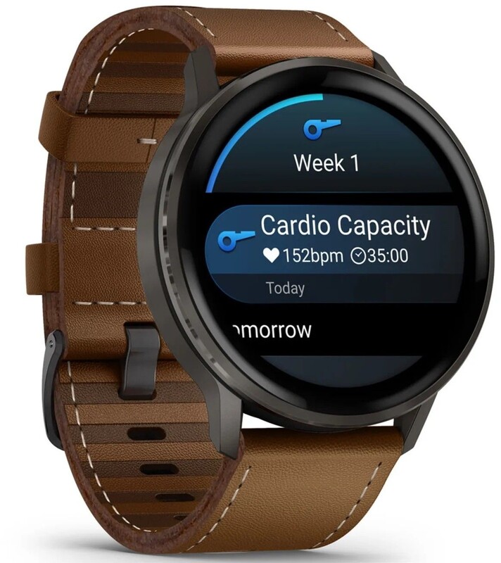 Смарт-годинник Garmin Venu 4 45mm Black with Brown Leather Band (010-03014-03)
