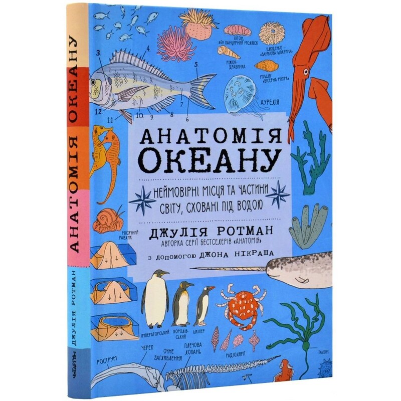 Анатомия океана. Невероятные места и части света, скрытые под водой / Джулия Ротман