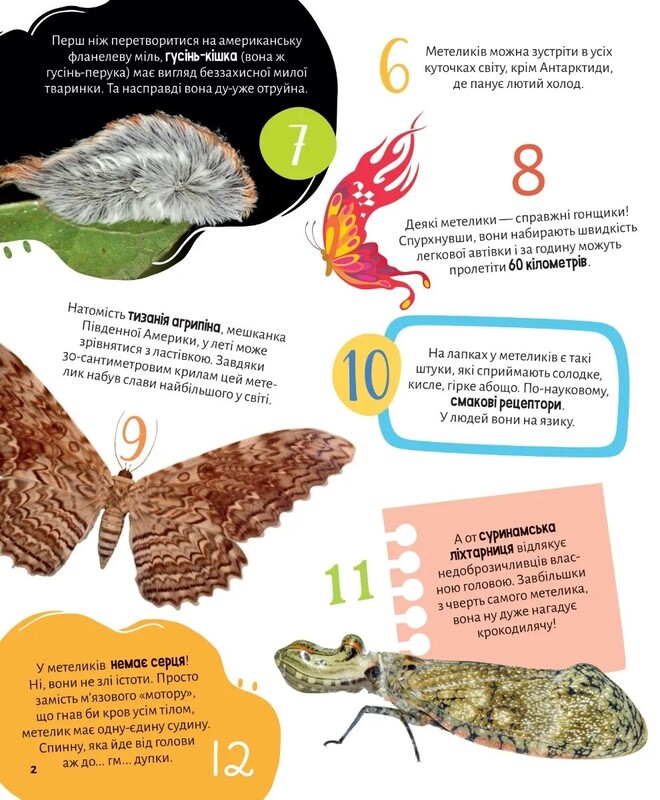 100 цікавих фактів. Комахи