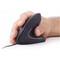 Фото - Мышь Gembird MUS-ERGO-01 Black USB | click.ua