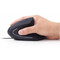 Фото - Мышь Gembird MUS-ERGO-01 Black USB | click.ua