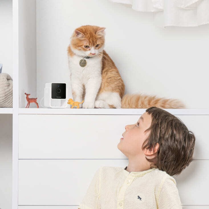 IP-камера Petcube Cam (CC10US)