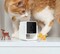 Фото - IP-камера Petcube Cam (CC10US) | click.ua