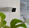Фото - IP-камера Petcube Cam (CC10US) | click.ua