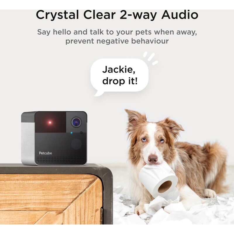 IP-камера Petcube Play 2 (PP20US)