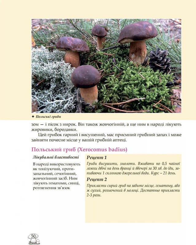 У пошуках грибного царства / Людмила Журавська