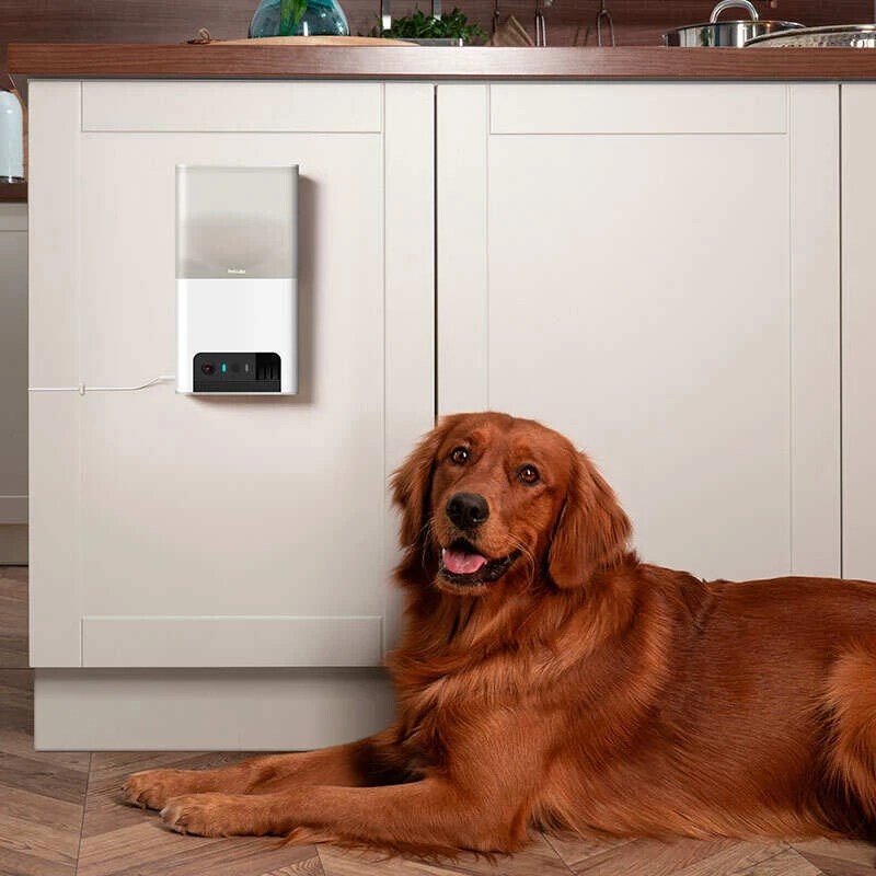 IP-камера Petcube Bites 2 Lite (BL10US)