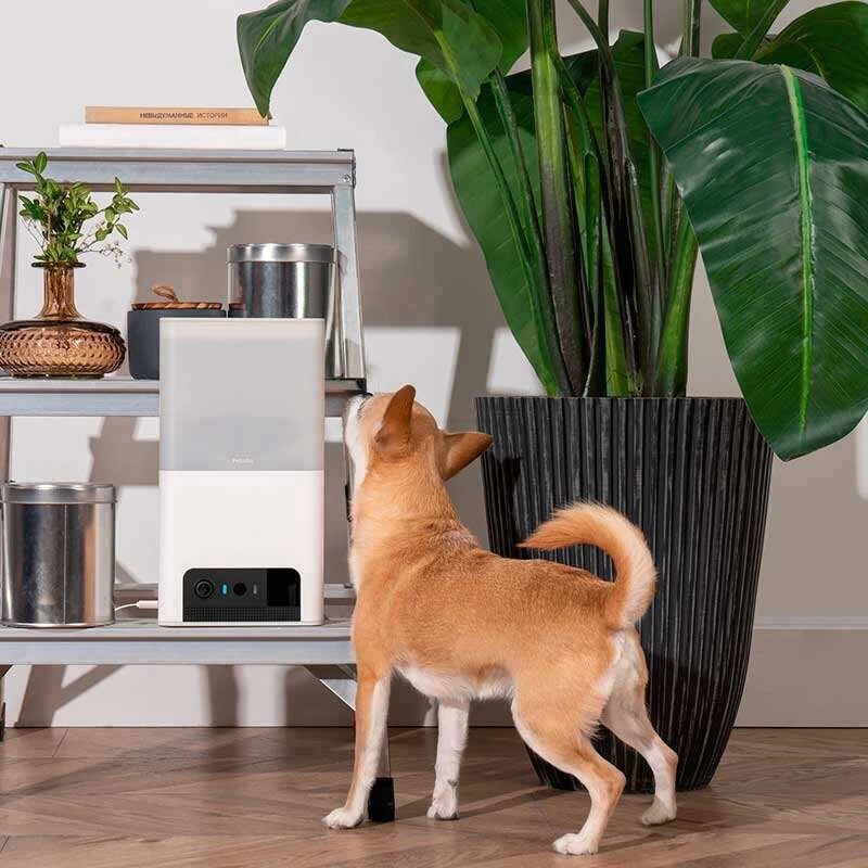 IP-камера Petcube Bites 2 Lite (BL10US)
