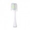 Фото - Насадка для зубной электрощетки Xiaomi Oclean P1 Toothbrush Head для Z1/X/SE/Air/One White 2шт | click.ua