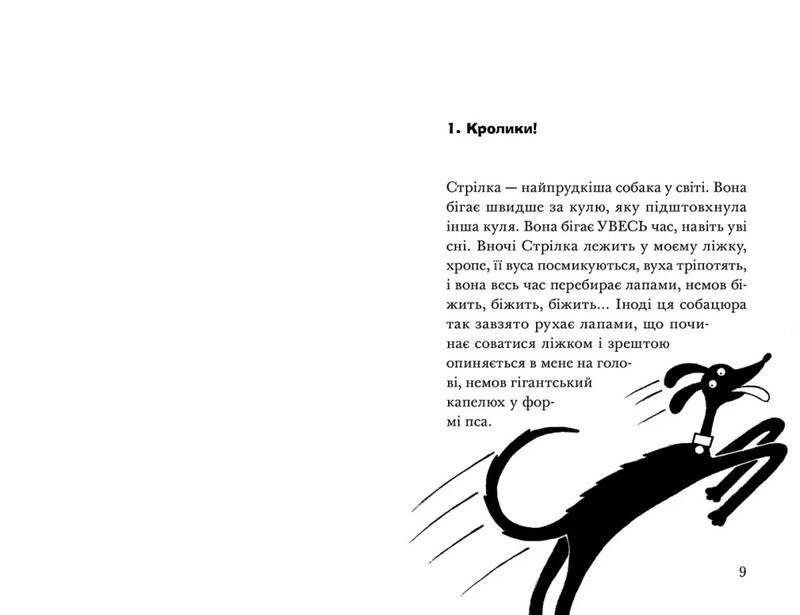 Ракета на чотирьох лапах. Книга 4: Ракета на чотирьох лапах під прикриттям / Джеремі Стронґ