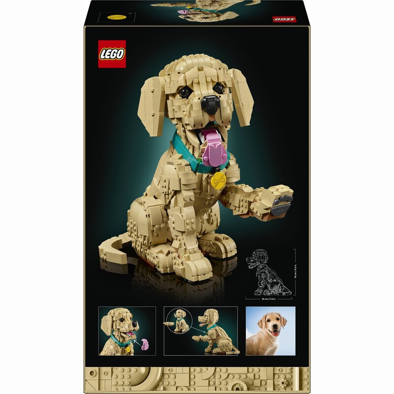 Конструктор LEGO Icons Цуценя золотистого ретривера (11384)