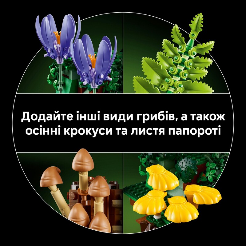Конструктор LEGO Botanicals Лісові гриби (11505)