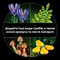 Фото - Конструктор LEGO Botanicals Лісові гриби (11505) | click.ua