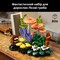 Фото - Конструктор LEGO Botanicals Лісові гриби (11505) | click.ua