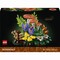 Фото - Конструктор LEGO Botanicals Лісові гриби (11505) | click.ua