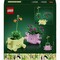 Фото - Конструктор LEGO Botanicals Рослини, що гойдаються (11506) | click.ua