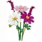 Фото - Конструктор LEGO Botanicals Квіти космеї (11514) | click.ua
