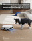 Фото - Робот-пылесос Ecovacs Deebot T50S Pro Omni White (DEX69) | click.ua