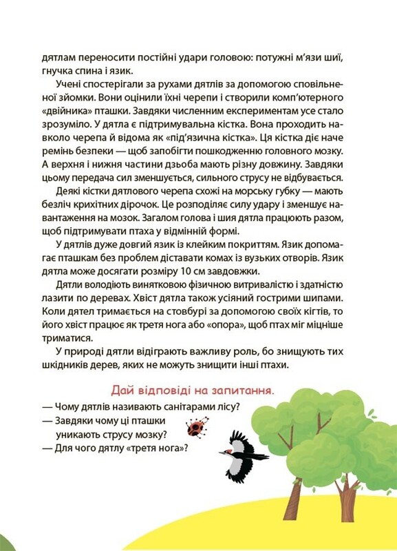 Читанка-ПОЧЕмучка. 9+ / Элина Заржицкая