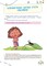 Фото - Развитие эмоционального интеллекта. 5-6 лет / Анна Гресь | click.ua
