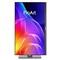 Фото - Монитор Asus 23.8" ProArt PA249CGV (90LM0031-B01K71) IPS Silver/Black 144Hz | click.ua