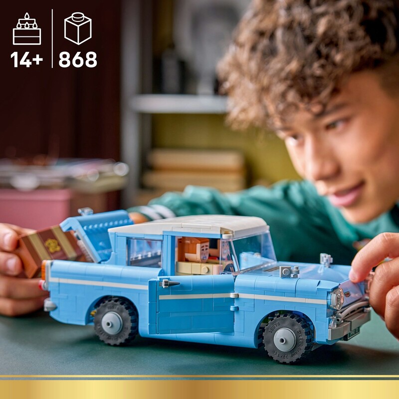 Конструктор LEGO Harry Potter Очарованный летучий Форд «Англия» (76470)