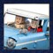 Фото - Конструктор LEGO Harry Potter Очарованный летучий Форд «Англия» (76470) | click.ua
