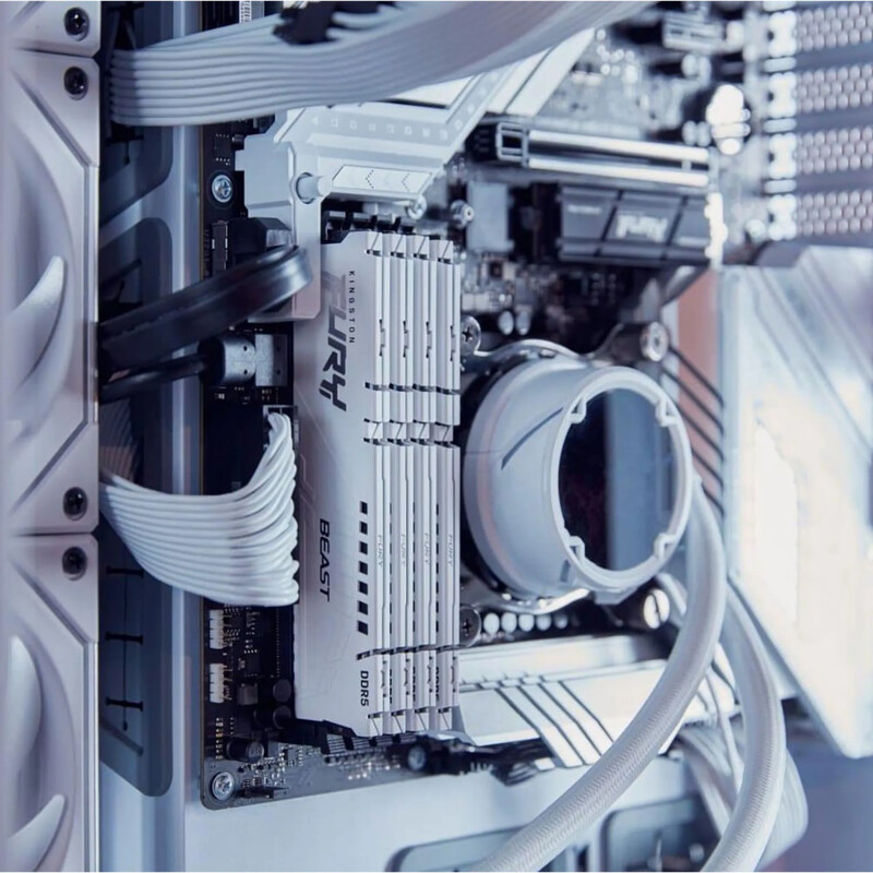 Модуль памяти DDR5 32GB/5600 Kingston Fury Beast White (KF556C40BW-32)