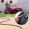 Фото - Миючий пилосос Cecotec Conga CarpetClean 10000 EasyHome (ССТС-08573) | click.ua