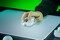 Фото - Мышь беспроводная Razer Viper V4 Pro Wireless White (RZ01-05630200-R3G1) | click.ua
