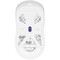 Фото - Миша Lorgar Advanced MSA10W Wireless White (LRG-MSA10W-WH) | click.ua