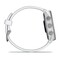 Фото - Смарт-годинник Garmin Forerunner 170 GPS Whitestone/Cloud Blue (010-03920-01) | click.ua