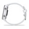 Фото - Смарт-годинник Garmin Forerunner 170 GPS Whitestone/Cloud Blue (010-03920-01) | click.ua