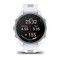 Фото - Смарт-годинник Garmin Forerunner 170 GPS Whitestone/Cloud Blue (010-03920-01) | click.ua