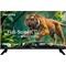 Фото - Телевізор Aiwa JH24DT180 | click.ua