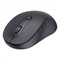 Фото - Миша бездротова Baseus F02 Ergonomic Black (B0203203) | click.ua