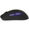 Фото - Миша бездротова Proove Gaming Everon Black (WMEV00022001) | click.ua