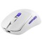 Фото - Миша бездротова Proove Gaming Everon White (WMEV00022002) | click.ua