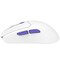 Фото - Миша бездротова Proove Gaming Everon White (WMEV00022002) | click.ua