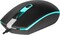 Фото - Мышь Defender Dot MB-986 Black (52986) | click.ua