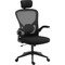 Фото - Крісло для геймерів Sandberg ErgoFusion Basic Black (640-97) | click.ua