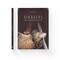 Фото - Пригоди Мишеняти. Комплект з 4-х книг / Торбен Кульман | click.ua