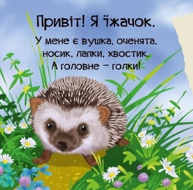 Знайомся. Комплект із 4-х книг / Марія Жученко