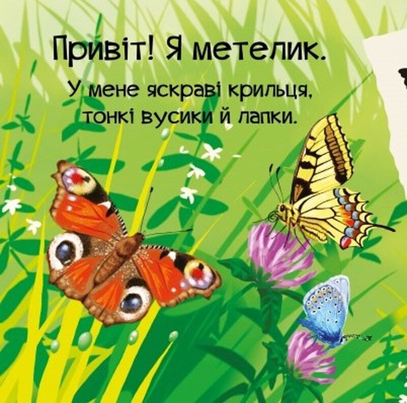 Знайомся. Комплект із 4-х книг / Марія Жученко