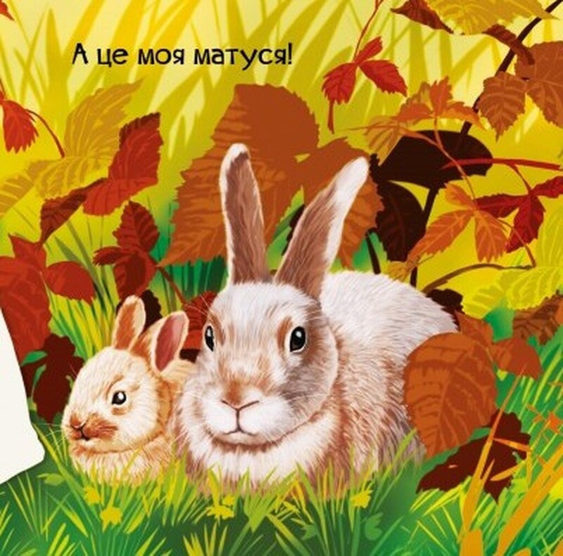 Знайомся. Комплект із 4-х книг / Марія Жученко