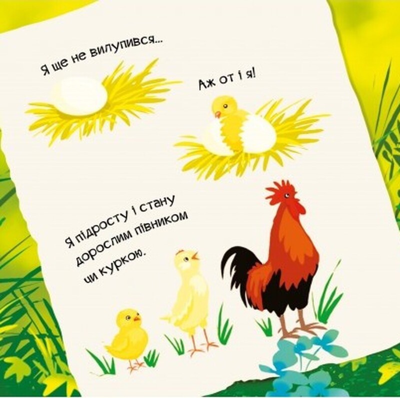 Знайомся. Комплект із 4-х книг / Марія Жученко