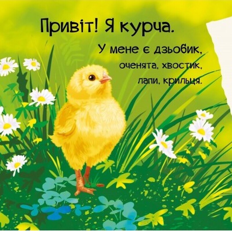 Знайомся. Комплект із 4-х книг / Марія Жученко